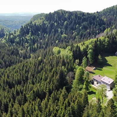 Le Coupet - Domaine Nature - Gîtes et Séminaires