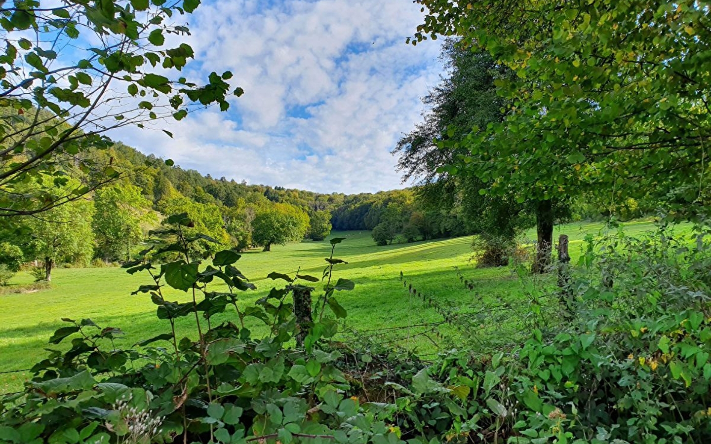 Sentier botanique de Rurey