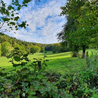 Sentier botanique de Rurey - RUREY