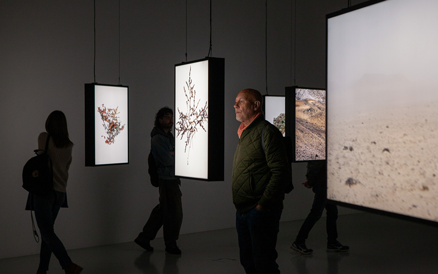 Visite : Traversée des expositions