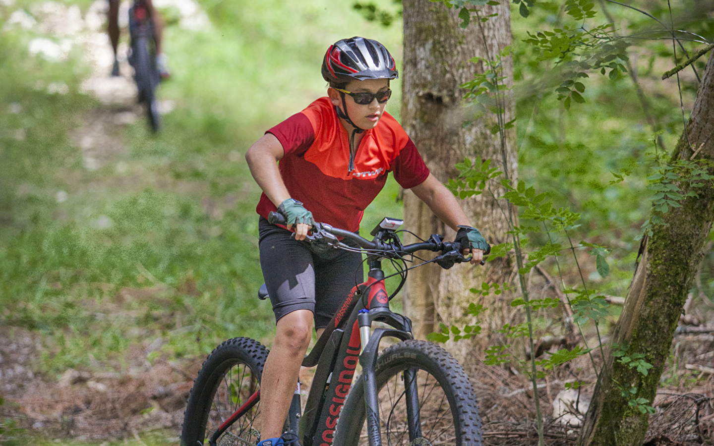 Parcours VTT 30 noir - La Semine - Espace FFC Ain Forestière