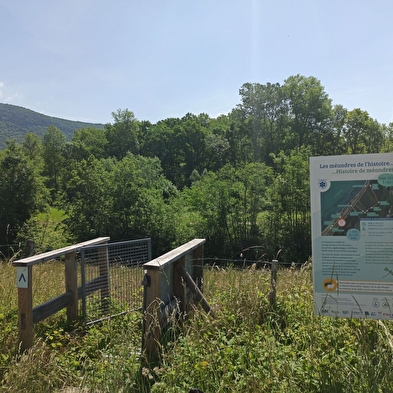 Sentier des anciens méandres du Rhône (ENS de l'Ain)