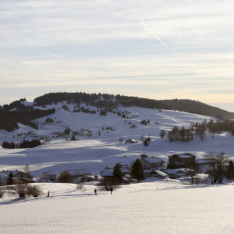 Site Nordique de Lajoux - Hautes Combes - LAJOUX