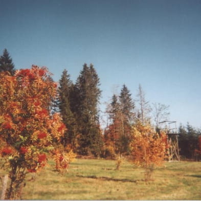 Arboretum du lavot