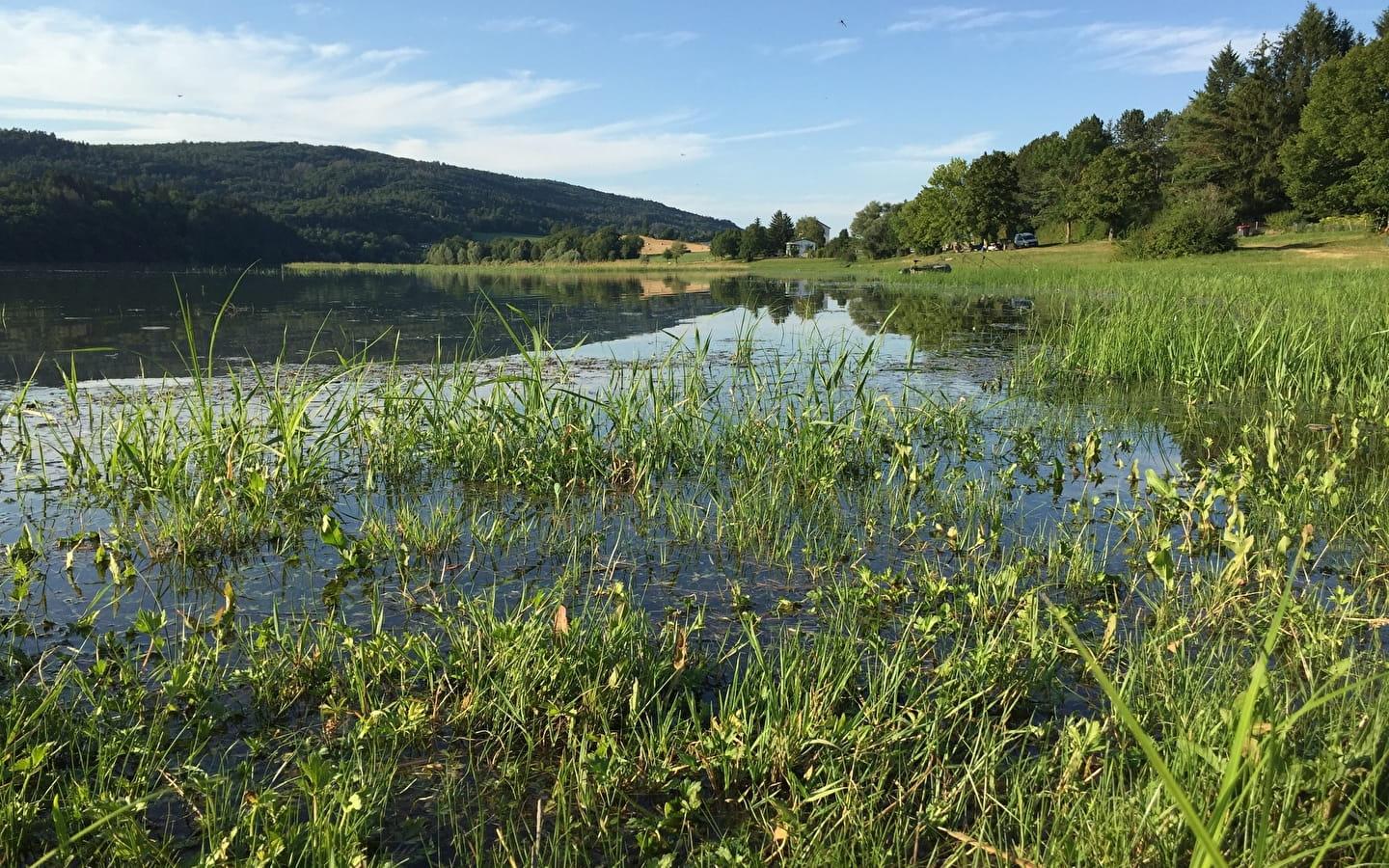 Rivière et lac de l'Oignin