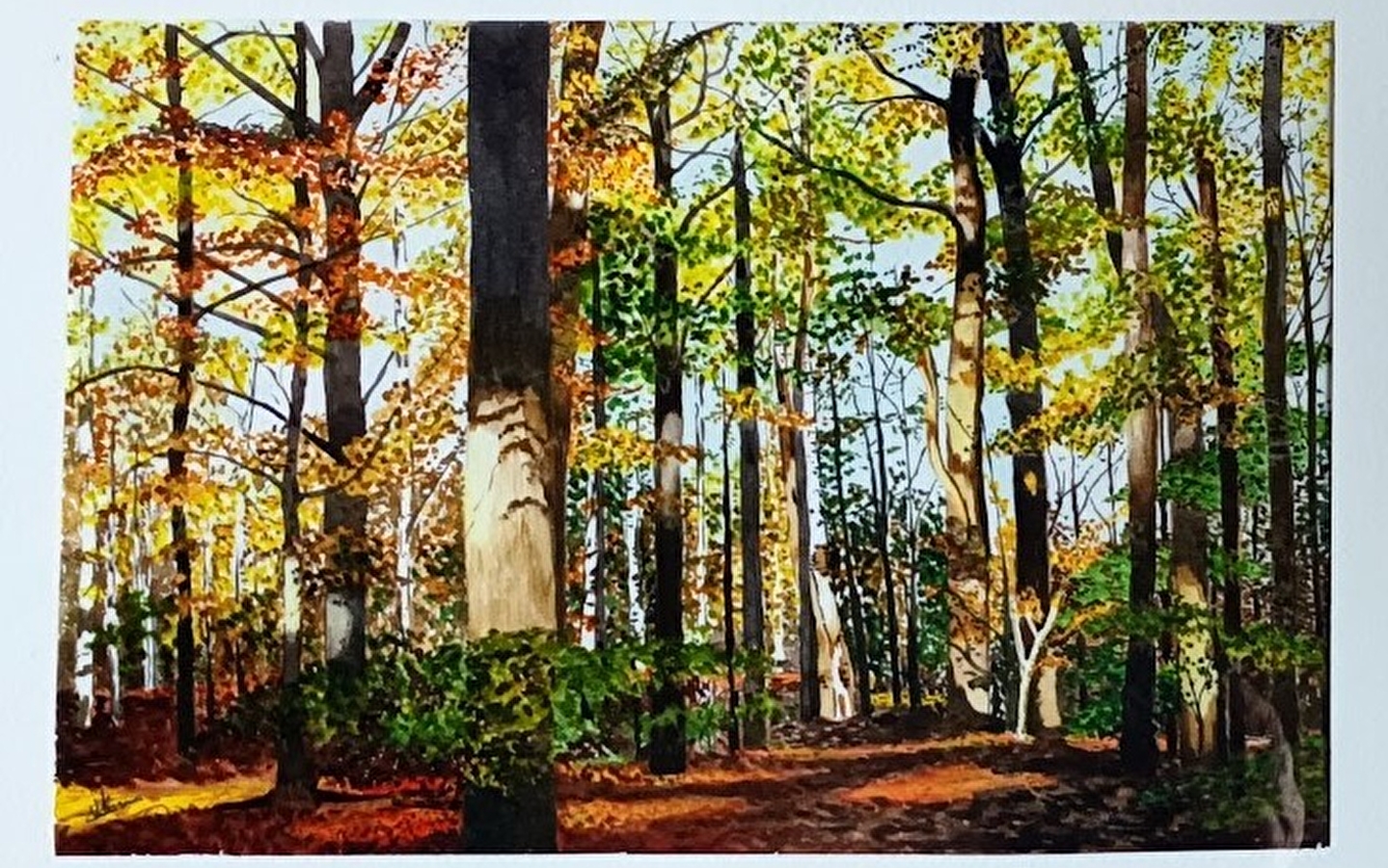 Exposition à la Fourmi Verte