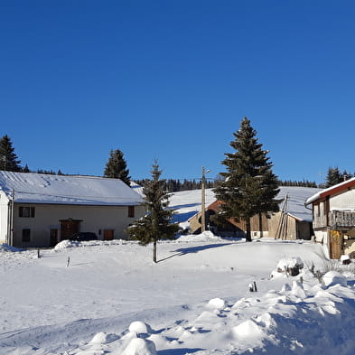 Appartement - Michèle Poux