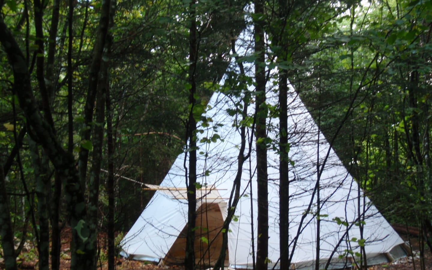 Visite de l'écosite En Pleine Nature