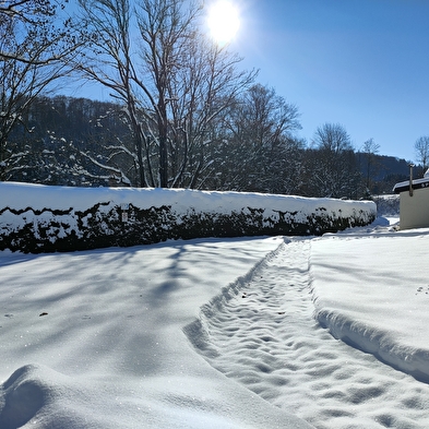 Appartement Souvet n°829