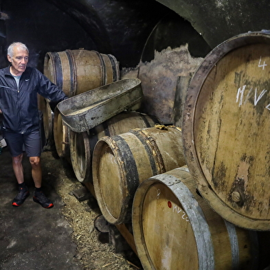 Balade vigneronne à Vernantois et visite du domaine Perrin