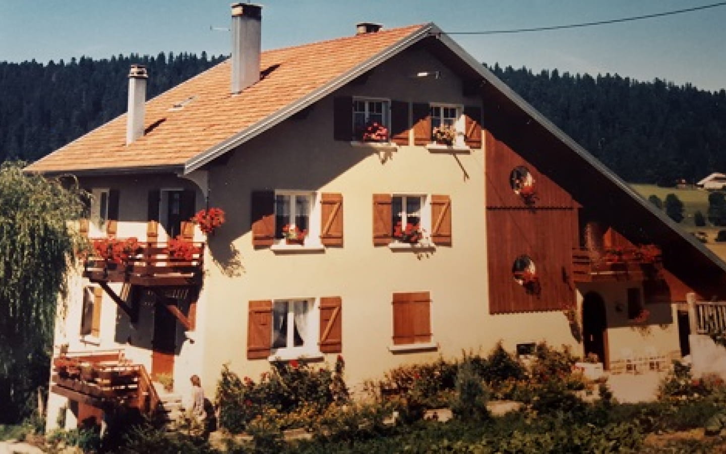 Appartement - marcelle podico