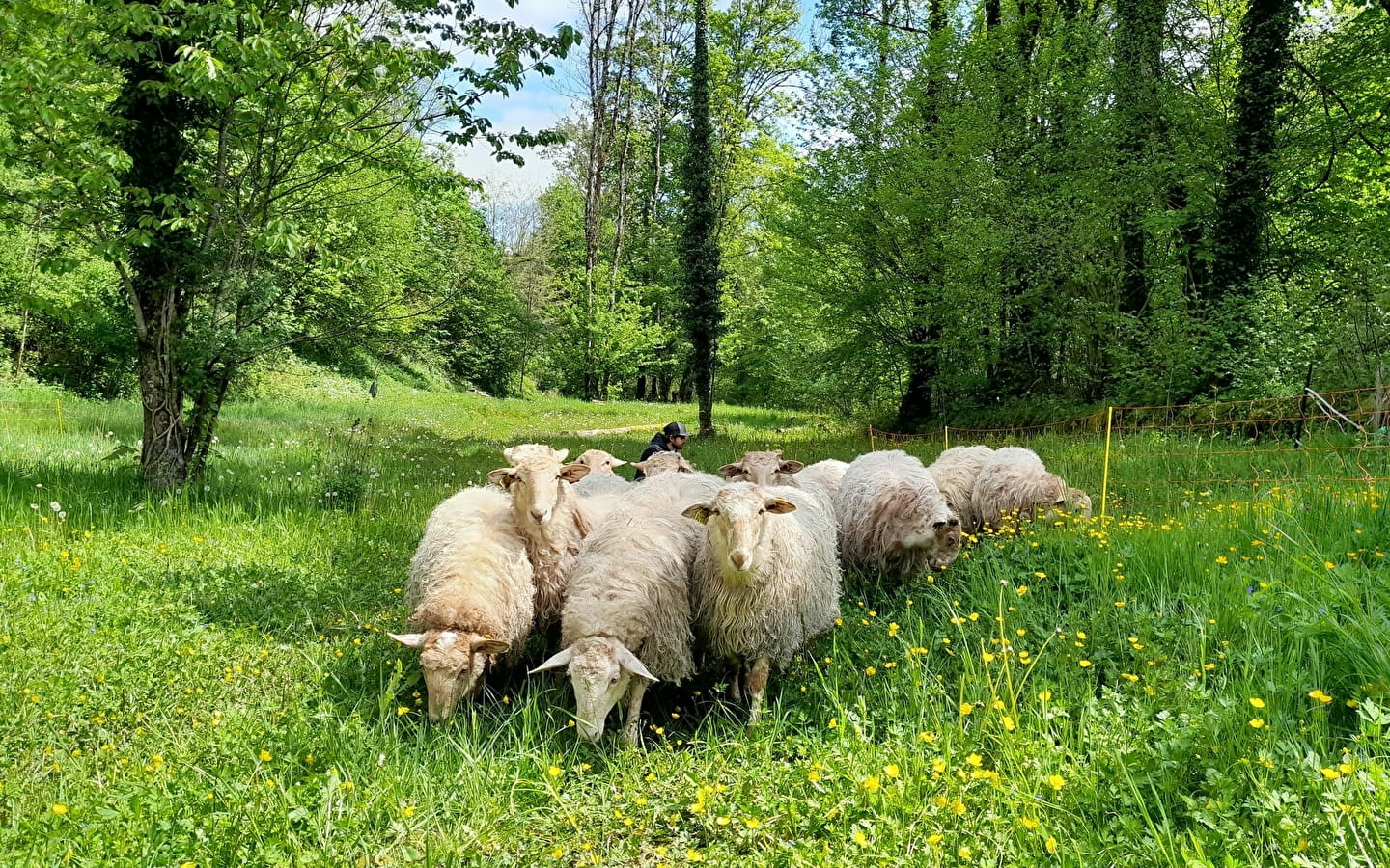 La Bergerie du Champ Devant