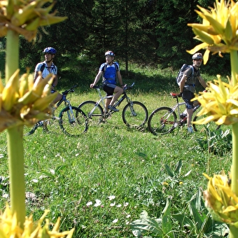 Les Seignots - n°4 - LONGEVILLES-MONT-D'OR