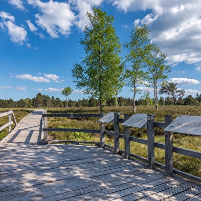 40 ans de la Réserve Naturelle Régionale des Tourbières de Frasne
