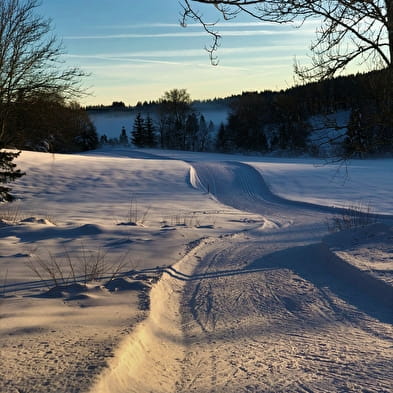 Piste rouge de ski de fond de Lachat : Le Mortier