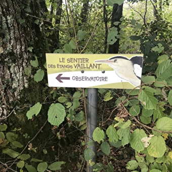 Le Sentier des étangs Vaillant, du Crêt et du Fort - CHAPELLE-VOLAND