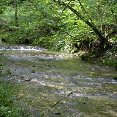 La Baume