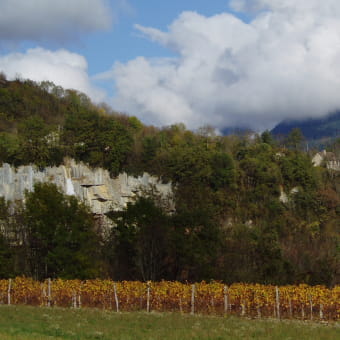 Domaine Collomb - VALROMEY-SUR-SERAN