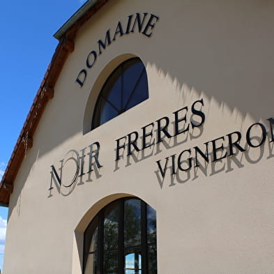 Domaine de la Petite Marne - Noir Frères