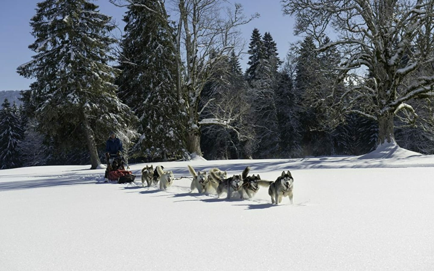 Les Nordiques de la Ferme sur la Roche