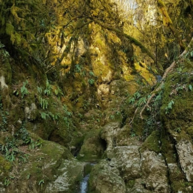 Sentier du Buizin