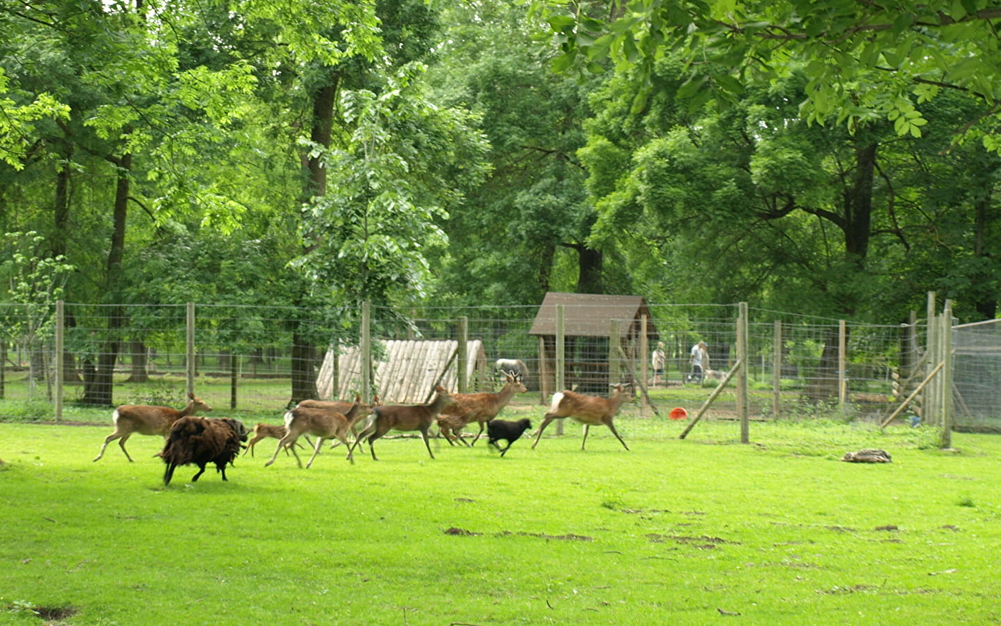 Parc des Vernaux