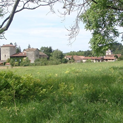 Randonnée - Belvédère du Mont de Grillerin
