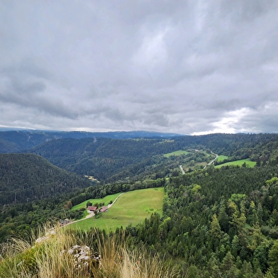 La Cendrée