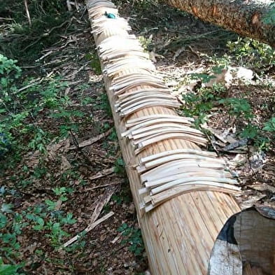 Découverte du métier de 'Sanglier'