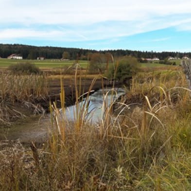 Sentier interprétation: sur les pas d'isenbart