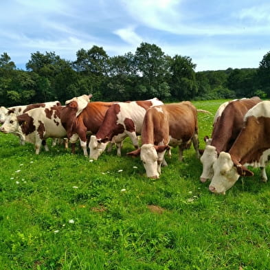 Gaec 'Ferme sur la Tour'