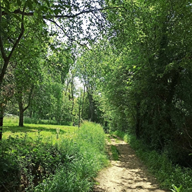 Circuit des Brosses au Château des Allymes