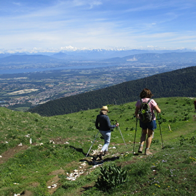 Randonnée pédestre : La Faucille - Les deux Montronds