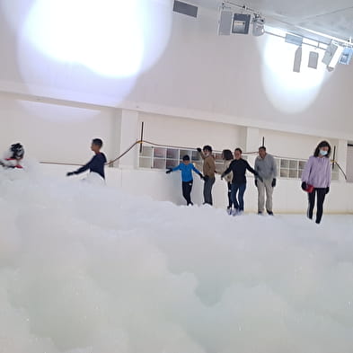 Patinoire/piste de rollers quad de l'Espace des Mondes Polaires