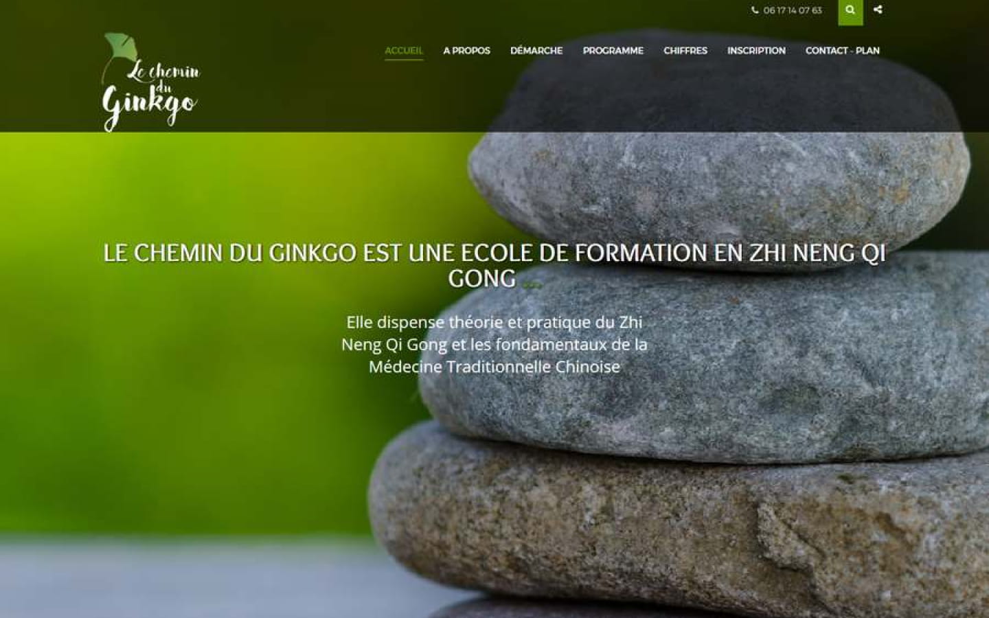 Le chemin du Ginkgo, Institut Zhi Neng Qi Gong