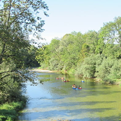 Grenouille canoë