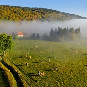 Tour du Gros Crêtet - 30B - LES ROUSSES