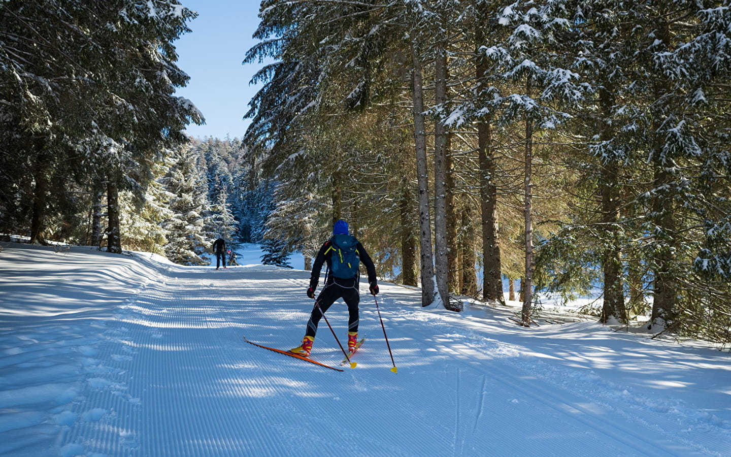 Le marais depuis La Praille - Piste verte de ski nordique