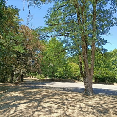 Le Parc des Miches