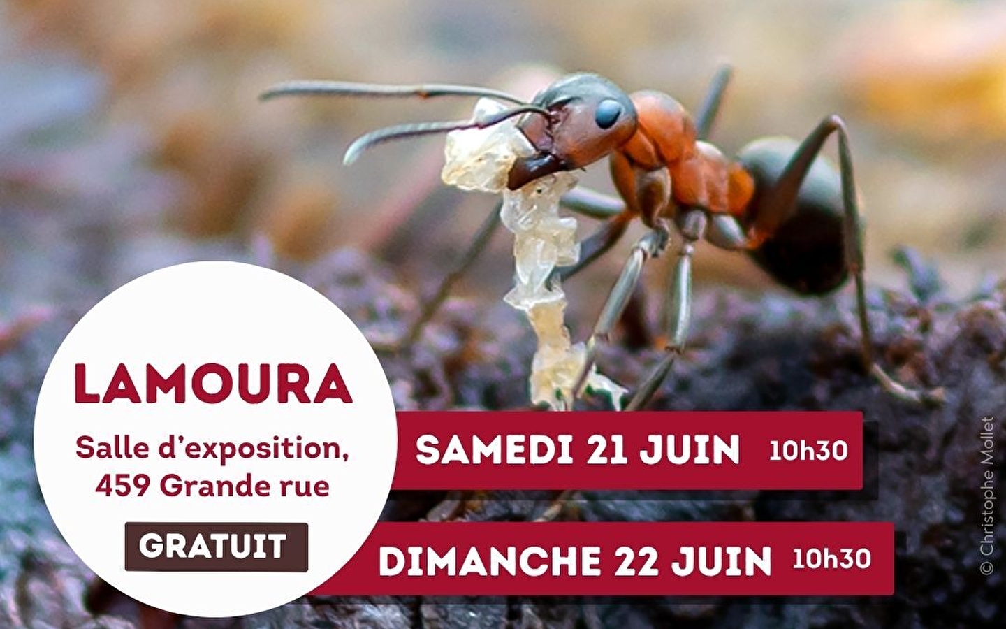 Animation nature : sur la piste des petites bêtes