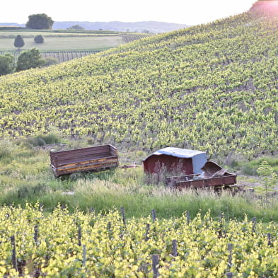 Domaine Fumey Chatelain