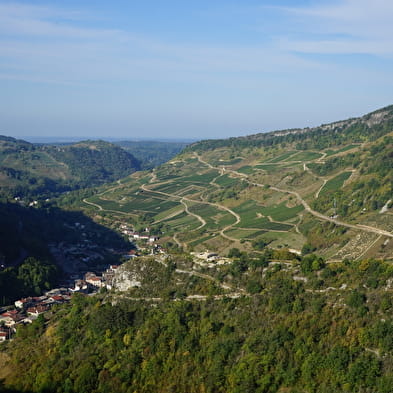 Le Panoramique