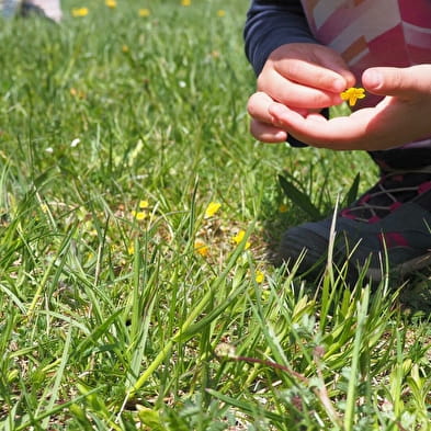 Sorties 'nature' pour les scolaires avec Impulsion