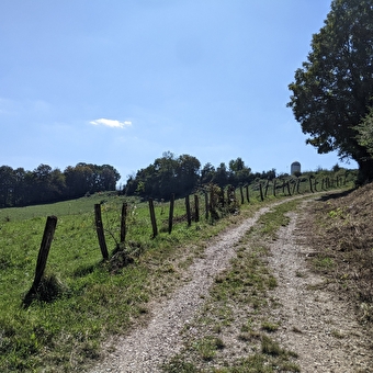 Sentier Courbet 3 : Sur les pas du peintre paysan - FLAGEY