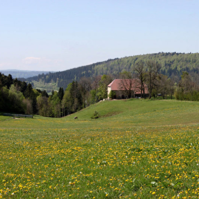 Gîte - Le Monthury