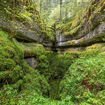 Voyage Fankarstique au cœur du Bois de Billin - FRASNE