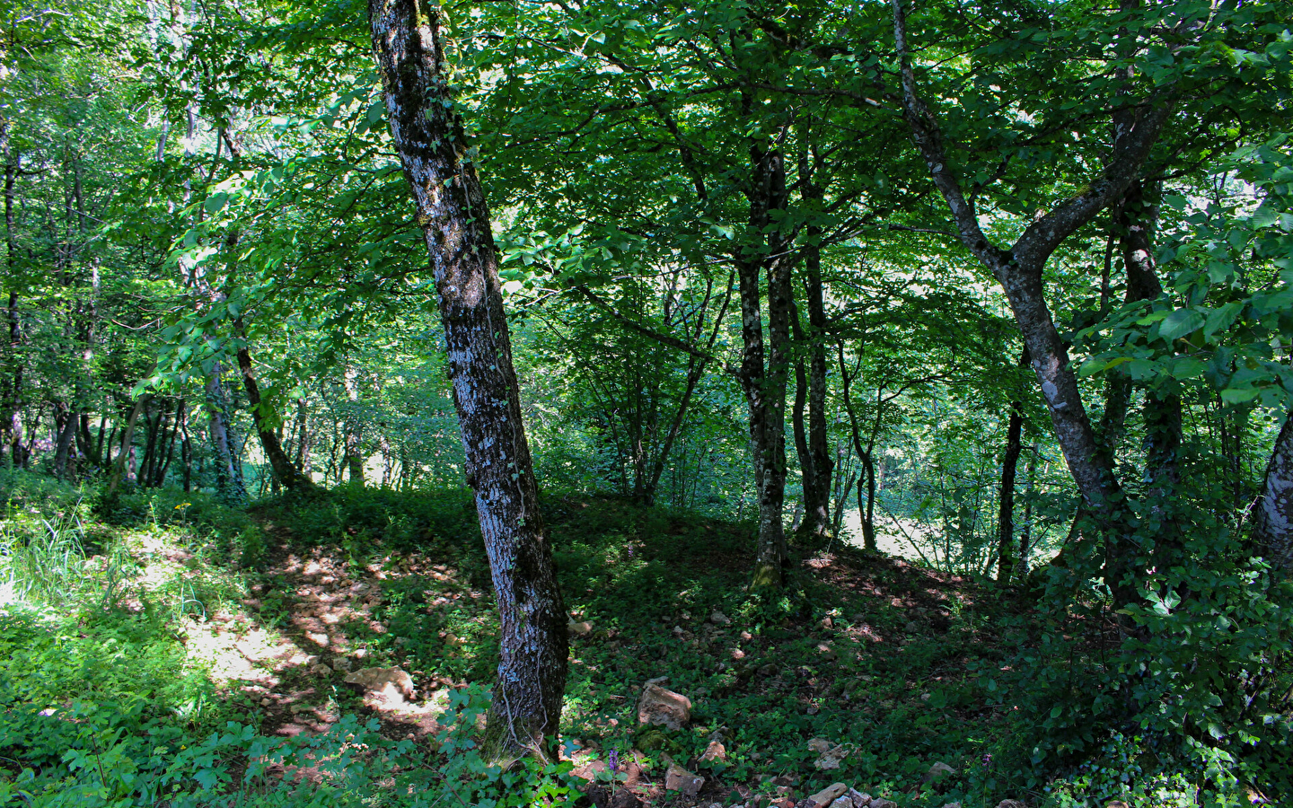 Le grand tour d'Ambérieu
