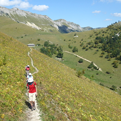 Randonnée pédestre : le Colomby de Gex depuis le Pailly