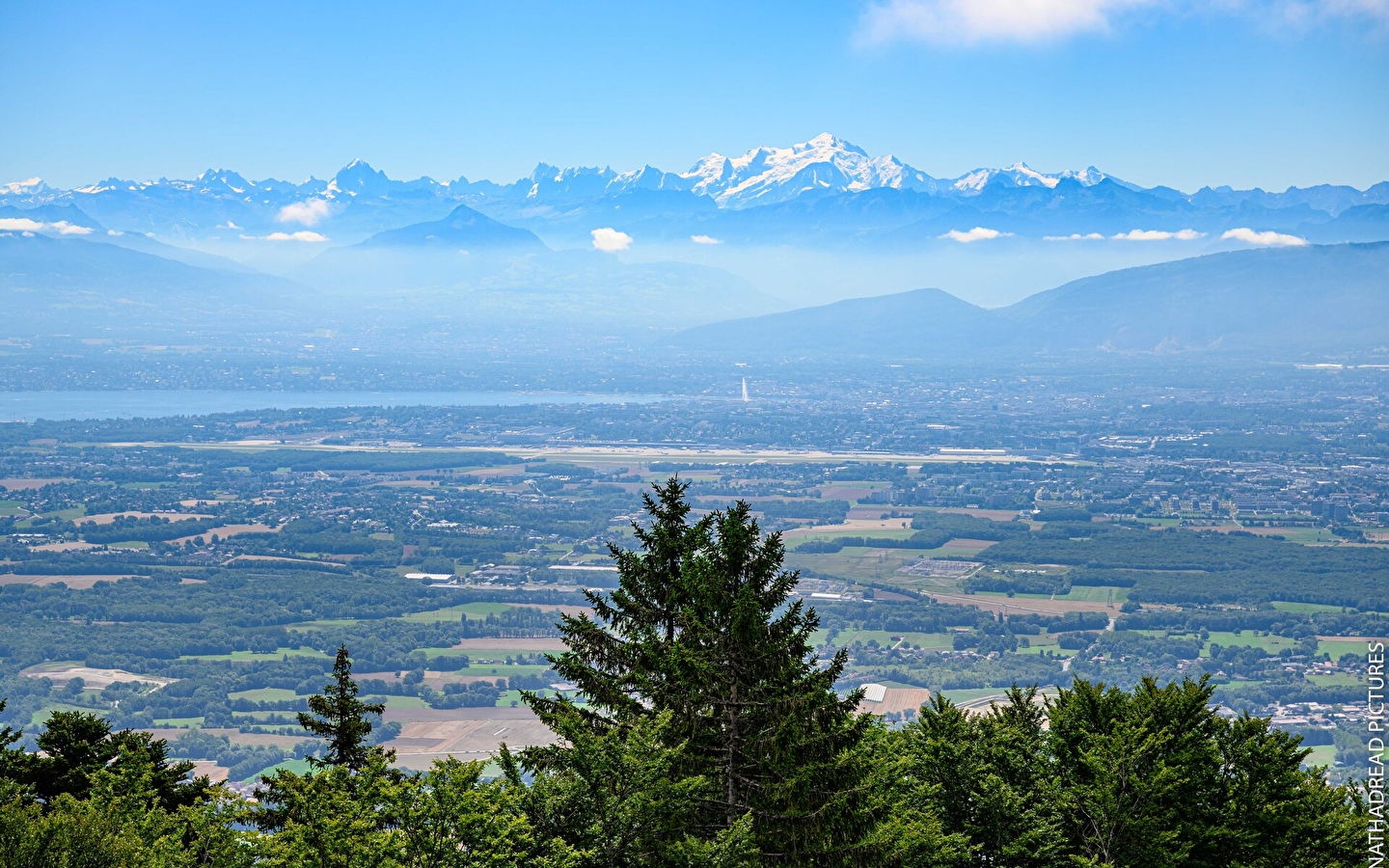 Sentier thématique : Le parcours du Lynx