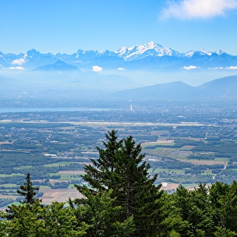 Sentier thématique : Le parcours du Lynx - CROZET